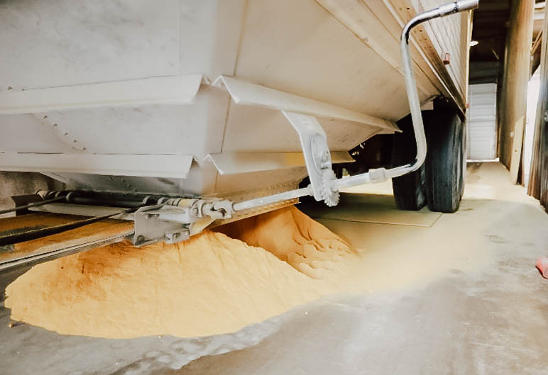 Corn Particle Size – Pay Attention and Harvest the Value