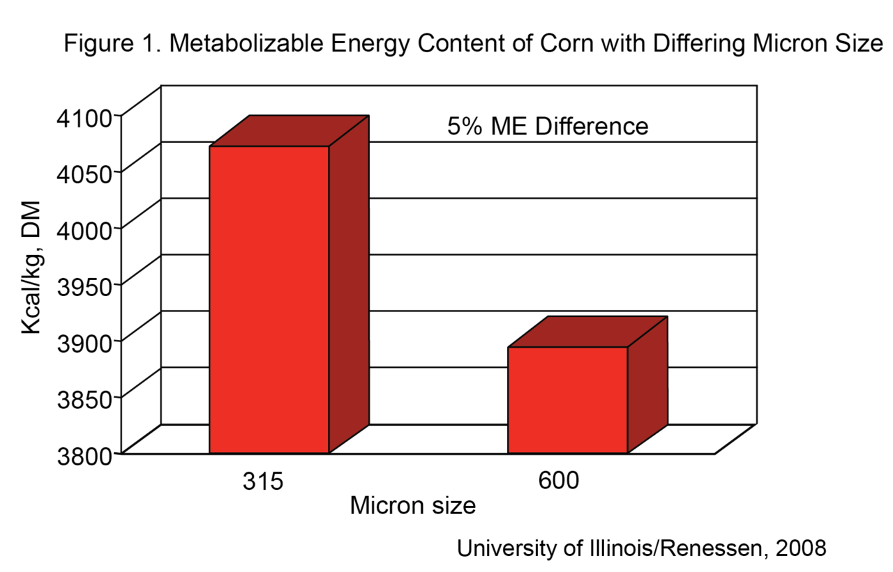 Corn Particle Size Pay Attention and Harvest the Value Standard