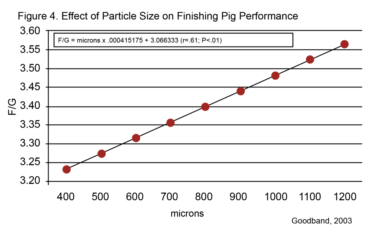 Corn Particle Size Pay Attention and Harvest the Value Standard